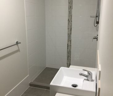 2 Nash Street, Pimpama QLD 4209 - House For Rent | Domain - Photo 5