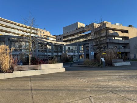 Location Appartement 1 pièce 36m² - Photo 5