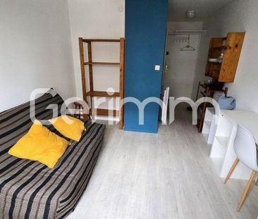 Location Appartement 1 pièce Meublé 16m² GRENOBLE 38100 - Photo 5