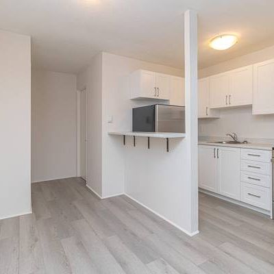 Renovated Bachelor pet friendly near Oak Bay Junction - Photo 1