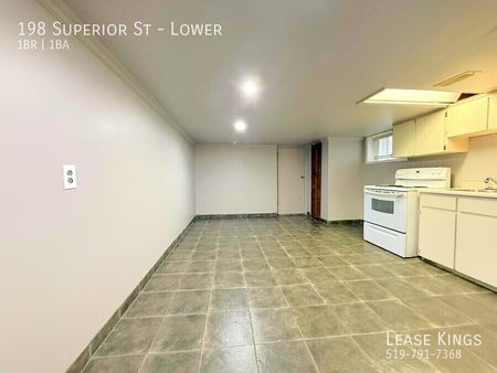 Basement Unit in Prime LaSalle Location! - Photo 3