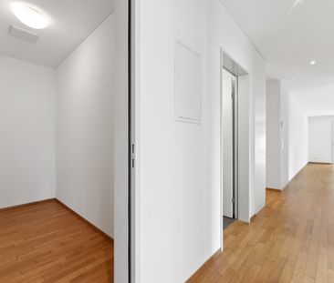 "Hier sind Sie auf der Sonnenseite des Lebens" - Photo 6