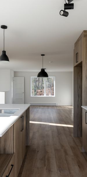 4 1/2 Brownsburg-Chatham - Photo 1