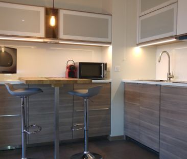 Location Appartement 1 pièce 25m² WISSEMBOURG 67160 - Photo 2