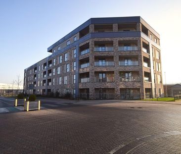 1 bedroom apartment to rent - Photo 3