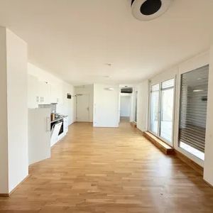 geräumige 2-Zimmer Dachgeschosswohnung mit großer Terrasse und en suite Badezimmer- ab sofort verfügbar - Photo 1