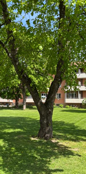 Birgittagatan 7B - Foto 1