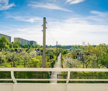 1-Raum-Wohnung in begrünter Wohnlage - Foto 1