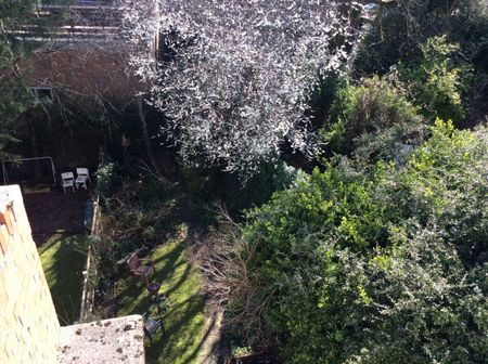 1 Bed Flat, Harcourt Road, S10 - Photo 2