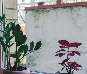 Kyrkogatan 6C - Foto 3