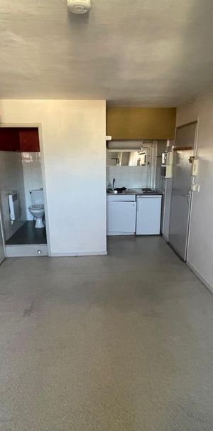 Location Appartement 1 pièce GRENOBLE 38000 - Photo 1
