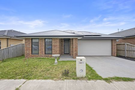 16 Dahlia Street, Bonshaw - Photo 5