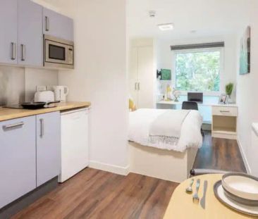 Deluxe Studio - Photo 6