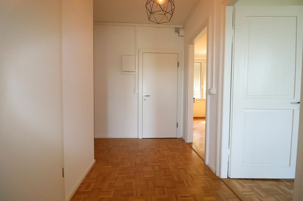 Birsfelden / Nähe Rhein - schöne 2-Zimmerwohnung im 2.OG - Photo 1