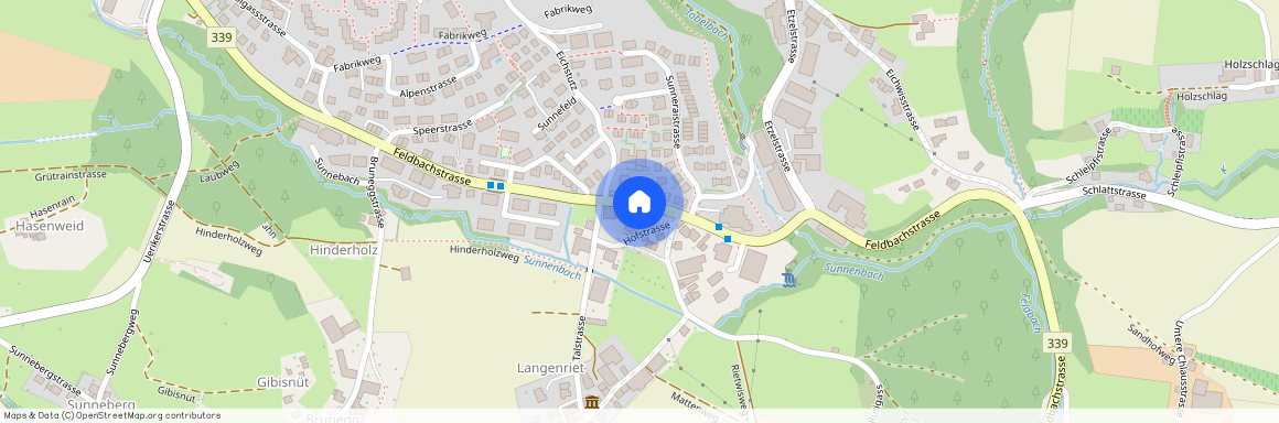 Hofstrasse 9, 8634 Hombrechtikon