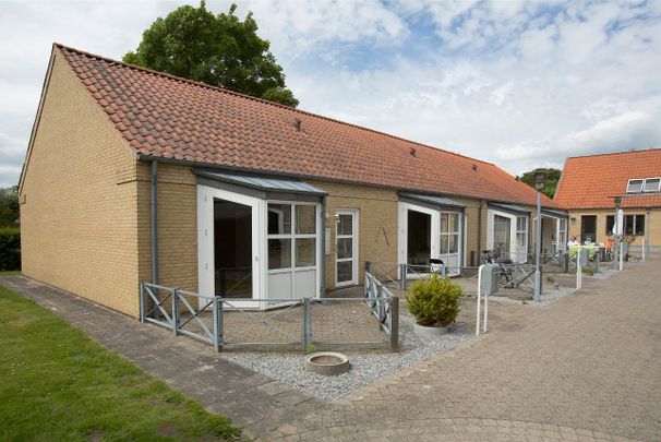 Gandrup - Photo 1