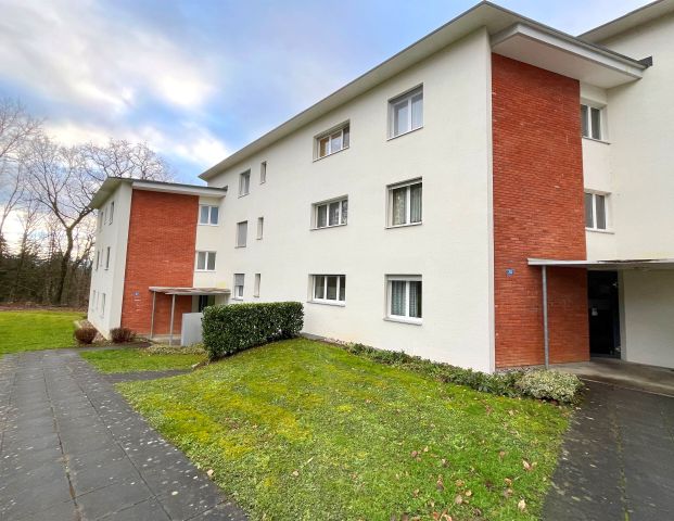 Here you can indulge yourself - Foto 1