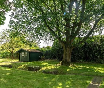 Neue Wohnung - Neues Glück - Foto 1