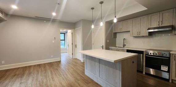 Rarely Available Unique 1 Bedroom Apartment For Rent Rosedale Toronto - Photo 2