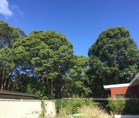 Dulwich Hill - Photo 2