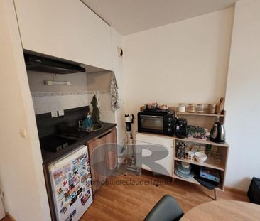 Location Appartement 1 pièce 29m² METZ 57070 - Photo 4