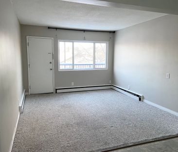 Sorrento Manor - Photo 4