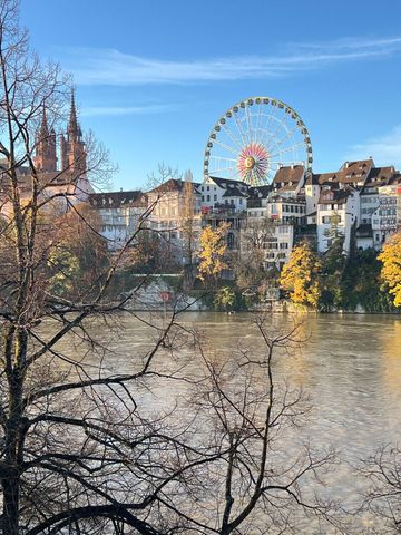 APPARTEMENT 2 PIÈCES À BÂLE - ALTSTADT/KLEINBASEL, MEUBLÉ, TEMPORAIRE - Photo 2