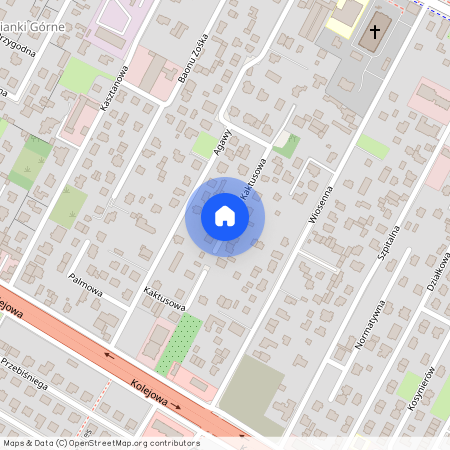 Warszawski, Zachodni, Łomianki, Kaktusowa