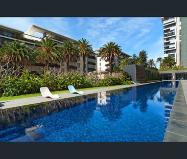 1/20 Pyrmont Bridge Road, Camperdown, NSW 2050 - Photo 4