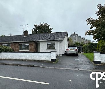 1 Coney Park, Coalisland BT71 4RT - Photo 3