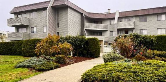 *MOVE IN BONUS* 2 bedroom 1 bathroom available now! Maple ridge - Photo 2