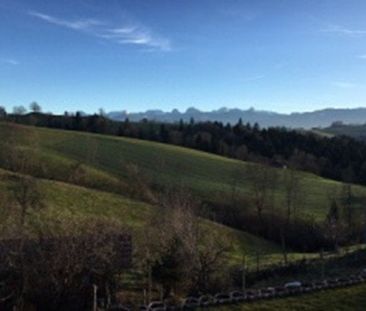 Befristet für 1 Jahr aufs Land ziehen? 4.5-Zi zu vermieten - Photo 4