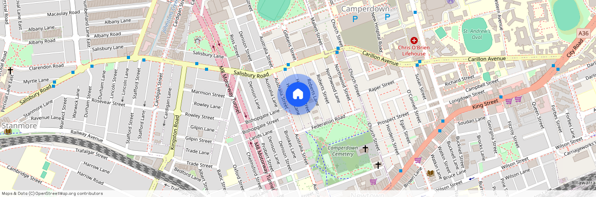 39 Hopetoun Street, Camperdown NSW 2050