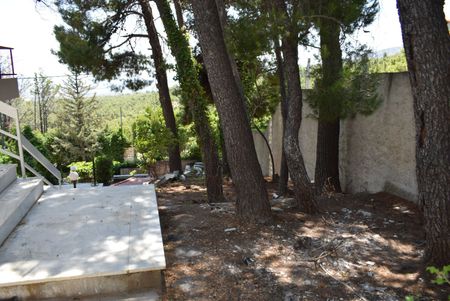 Διαμέρισμα για ενοικίαση Θρακομακεδόνες (Αχαρνές) - Photo 3