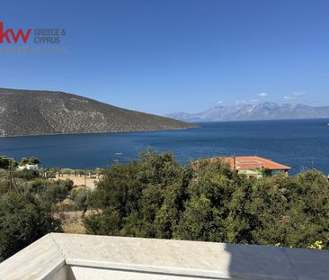 Μονοκατοικία για ενοικίαση Σκροπονέρια (Ανθηδώνος) - Φωτογραφία 3