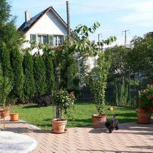 GENEROUS WITH GARDEN - Foto 3