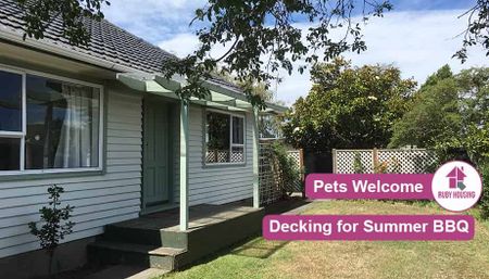 Pet friendly family home in Sockburn - Photo 5