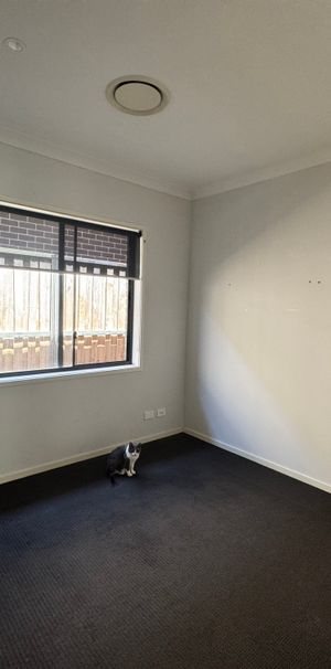 Schofields - Photo 2