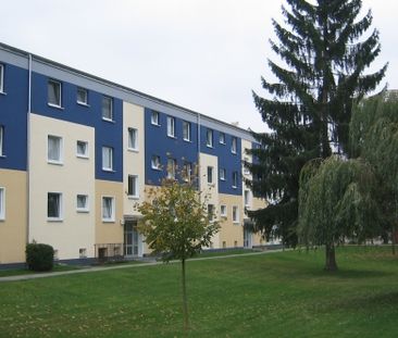 Celle - Neues Land 9b - Photo 1