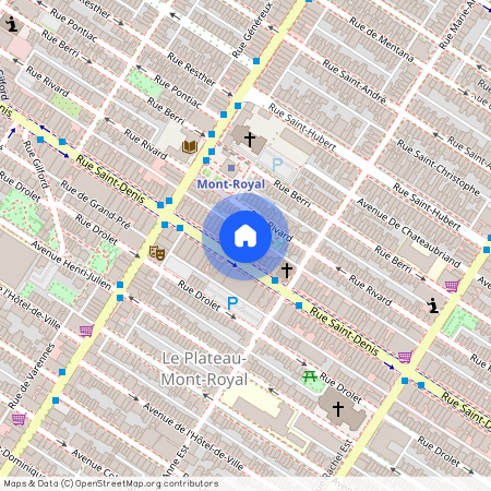 4411 Rue St-Denis, app. 207, Montréal (Le Plateau-Mont-Royal), H2J2L2