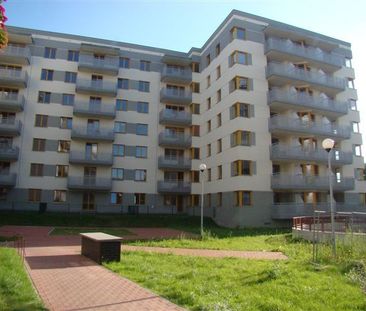 Os. POLONIA Pomorzany 2 pokoje 44 m2, umeblowane - Photo 6