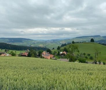 1.5 Zimmer, 30 m² - Photo 2