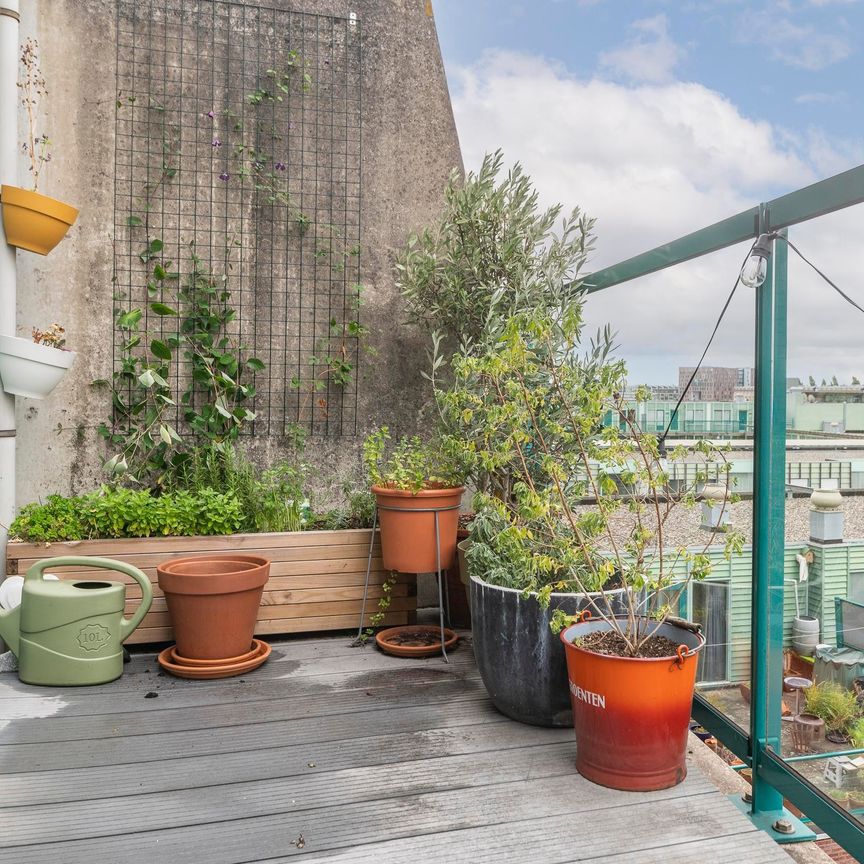 Borneolaan, 229, 1019HX, Amsterdam - Foto 1