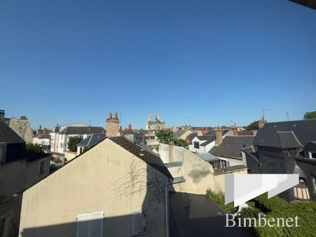 Appartement à louer, 2 pièces - Orléans 45000 - Photo 5