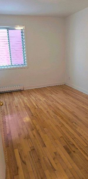 Grand 3-1/2 ( ancien 4-1/2) lumineux, disponible immédiatement - Photo 1