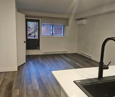 1 CH - 1 SDB - Montréal - $1,245 /mo - Photo 1