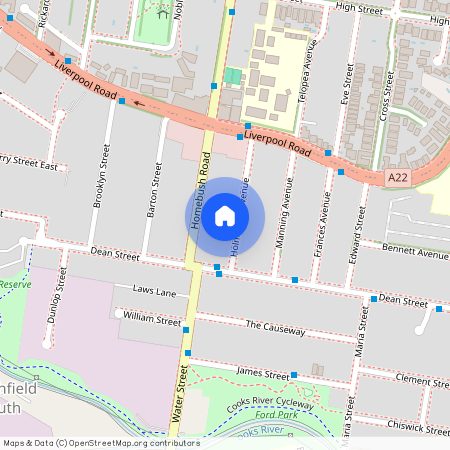 21 Holmwood Avenue, NSW 2136, Strathfield South