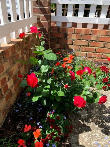 2 Bed End Terrace, Croydon, CR0 - Photo 4