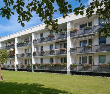 Detmerode: Stilvolle Wohnung in naturnaher Umgebung - Photo 5