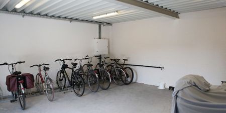 Gelijkvloers app. te huur in Pittem voor € 795 met 2 slaapkamers - Photo 3